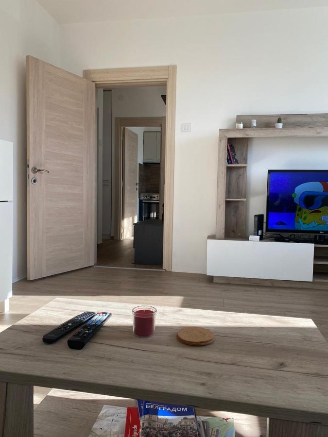 Cosy Apart Aca Belgrado Buitenkant foto