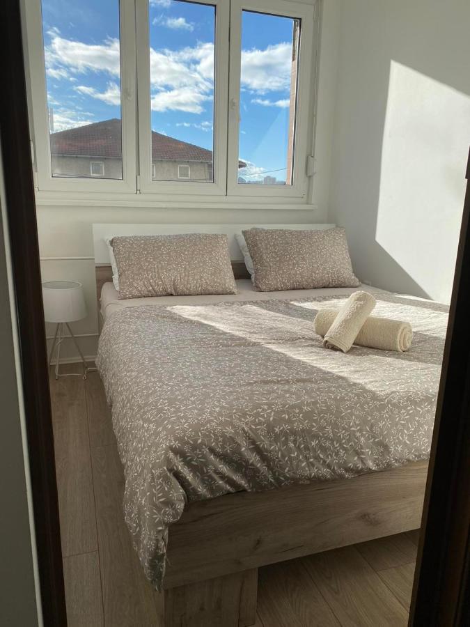 Cosy Apart Aca Belgrado Buitenkant foto
